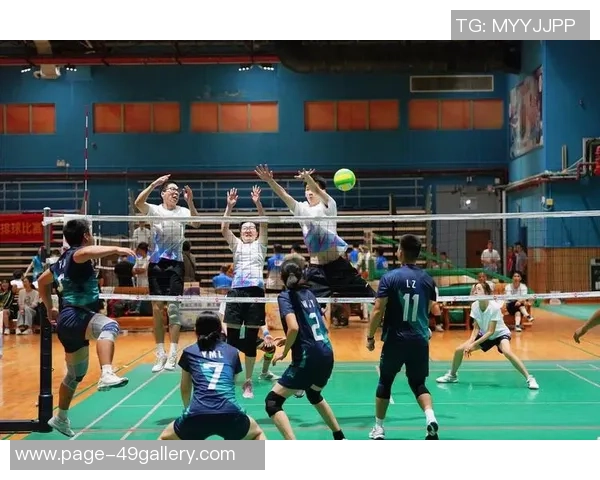 广州排球队节奏对比深度解析与战术探讨